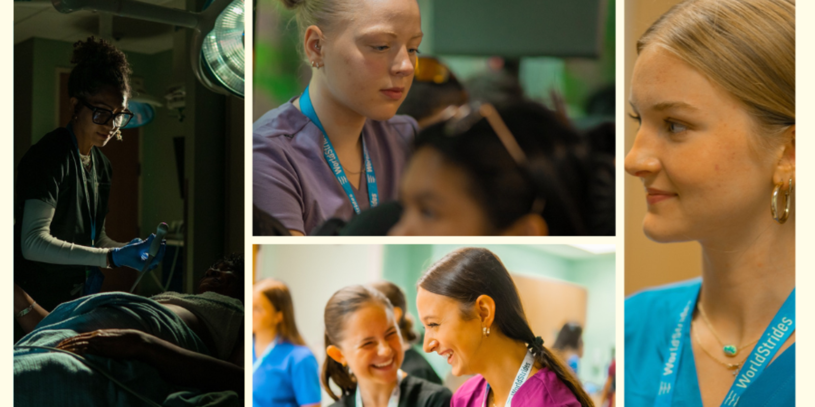 Untitled design (17)