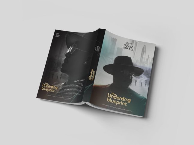 The Underdog Blueprint